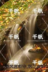 清灵李如风