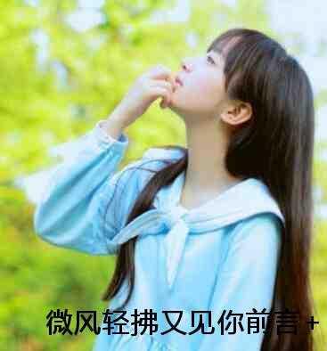 陆沉林书意+