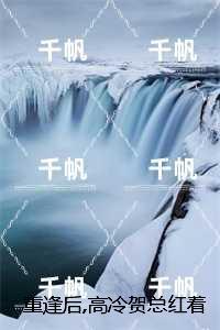 乔晚柠贺砚舟