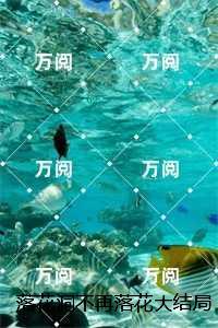 乔妹儿
