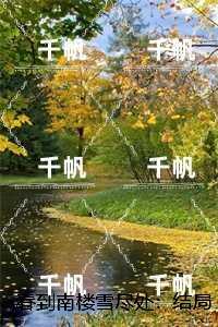傅庭州苏枝夏
