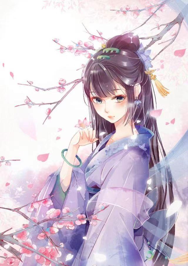 沈衿歌杨珺泽